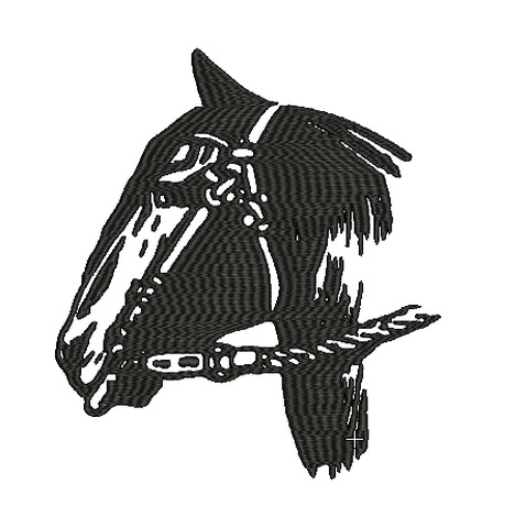 FIESTAS PATRIAS 18 SEPTIEMBRE CABALLO 12
