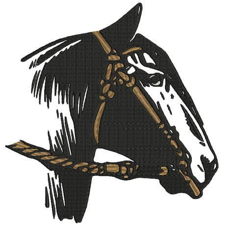 FIESTAS PATRIAS 18 SEPTIEMBRE CABALLO 18