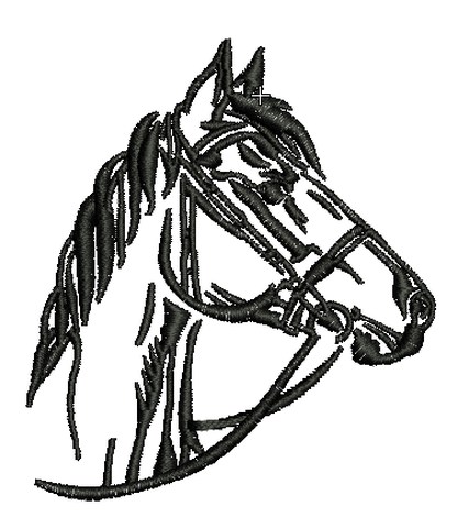FIESTAS PATRIAS 18 SEPTIEMBRE CABALLO 22