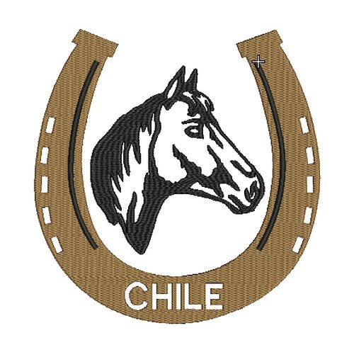 FIESTAS PATRIAS 18 SEPTIEMBRE CABALLO HERRADURA 2