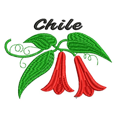 FIESTAS PATRIAS 18 SEPTIEMBRE COPIHUE 2