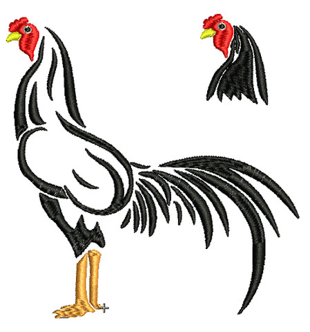 FIESTAS PATRIAS 18 SEPTIEMBRE GALLO GALLINA 2
