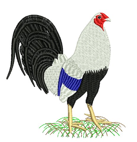 FIESTAS PATRIAS 18 SEPTIEMBRE GALLO GALLINA