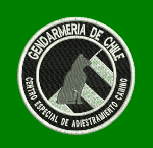 MATRICES MATRIZ GENDARMERIA