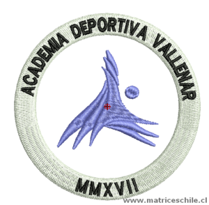 MATRIZ FUTBOL ACADEMIA VALLENAR BORDADO