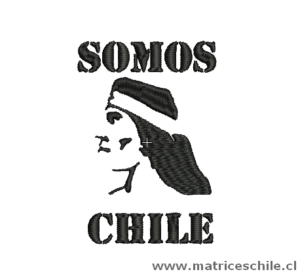 MATRIZ FUTBOL COLO COLO SOMOS