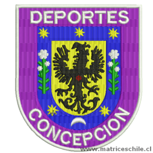 MATRIZ FUTBOL DEPORTES CONCEPCION