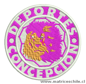 MATRIZ FUTBOL DEPORTES CONCEPCION LEON