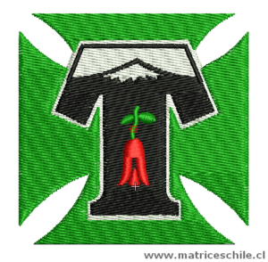 MATRIZ FUTBOL TEMUCO BORDADO PARCHE